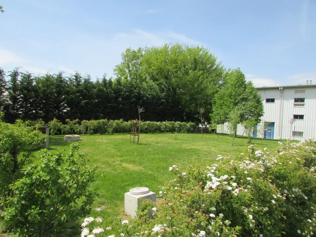 Rendezett bokrokkal és sövénnyel övezett, üde zöld gyeppel és facsemetékkel tarkított hangulatos kert a cég székhelyének hátsó udvarán